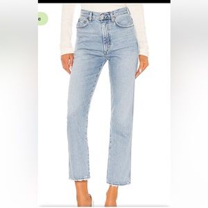 NWT Agolde 90s Pinch Waist Denim